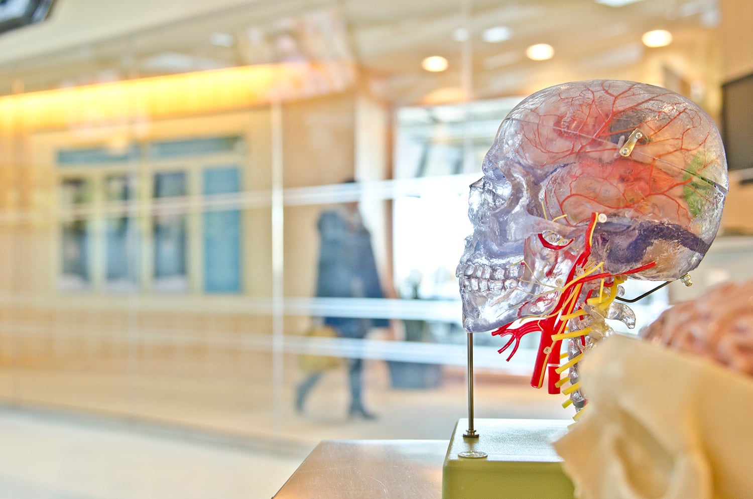 All you need to know about neuromarketing