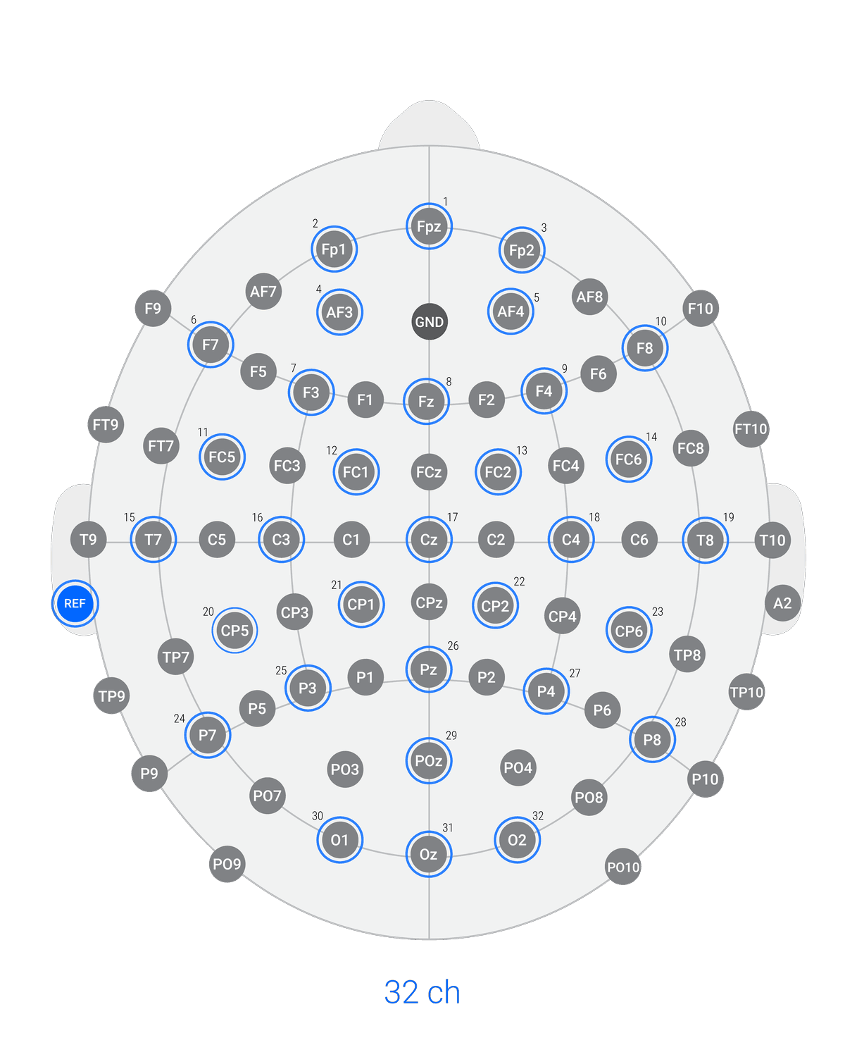 Versatile EEG layout 32 ch