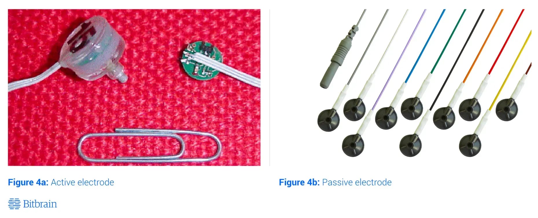 Active and Passive Eeg Electrodes 11zon