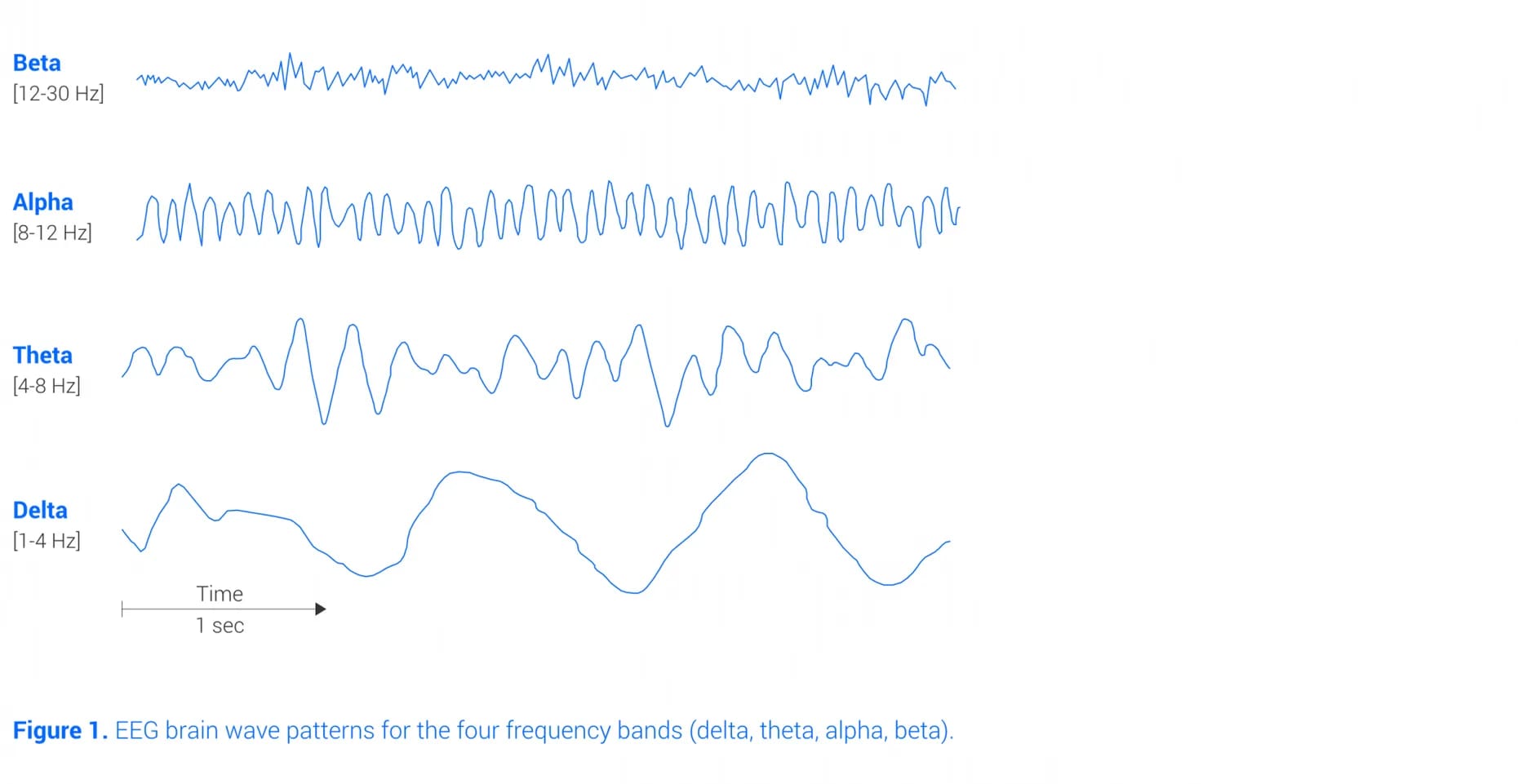 Brain Waves Eeg 0