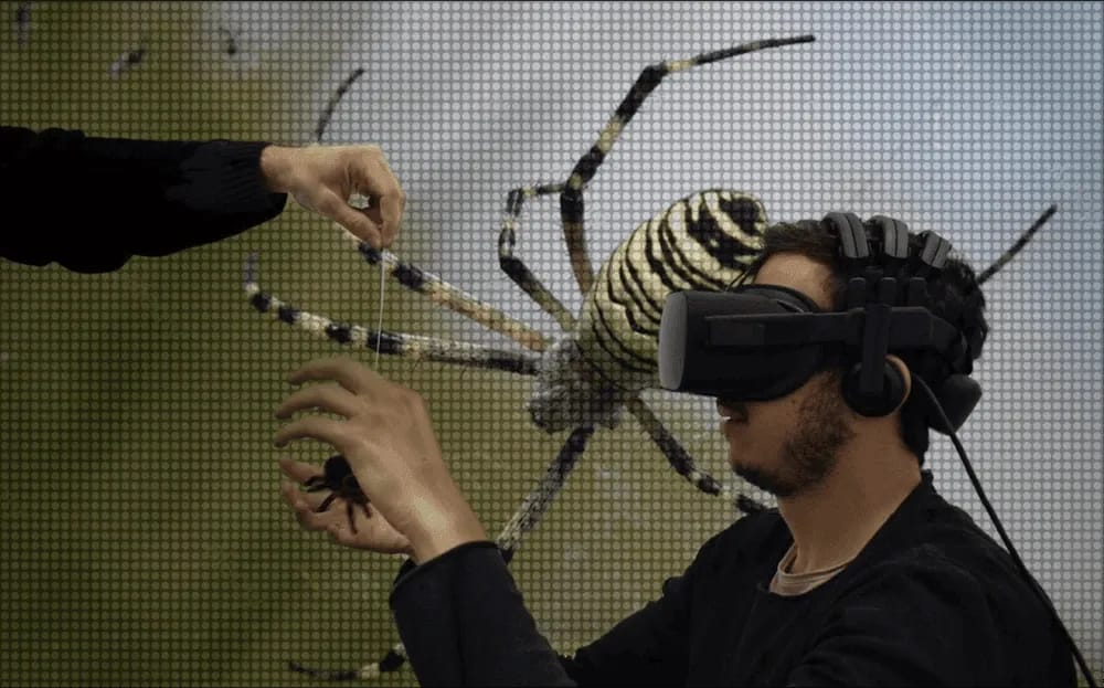 Eeg Test Neuropsychology Optimized
