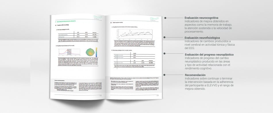 Elevvo Informe Es Web