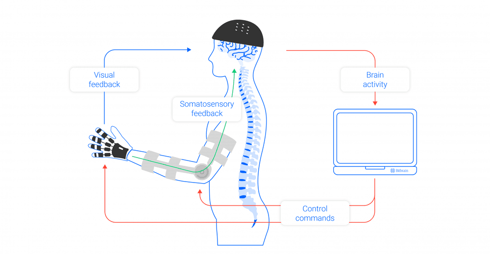 Human Enhancement with Eeg Slider Bitbrain 1