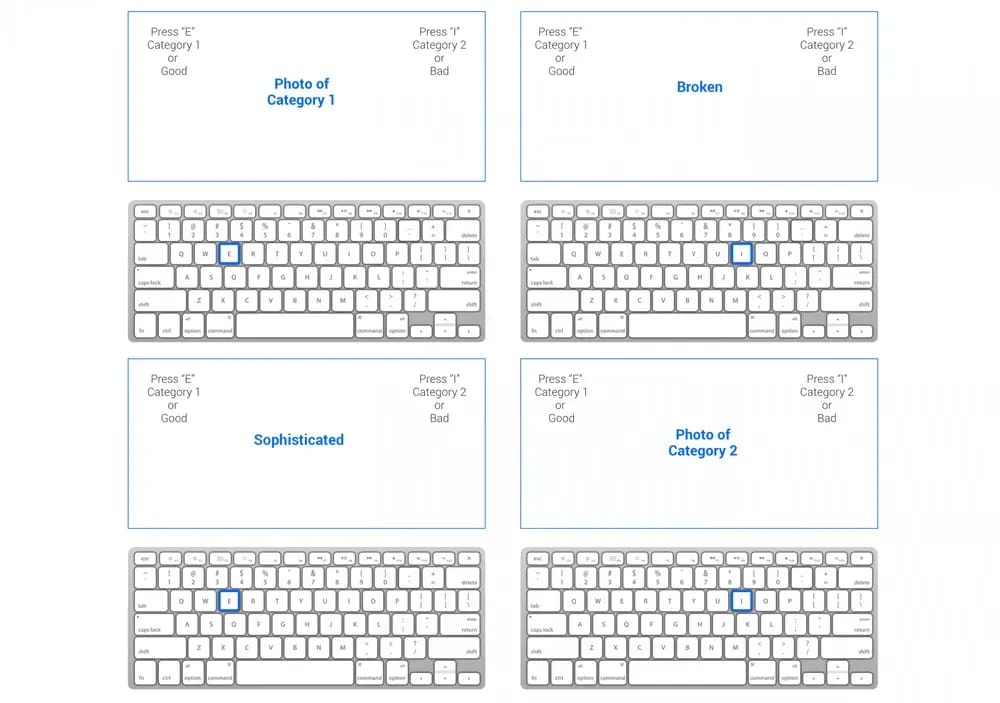 Iat Test 1 11zon