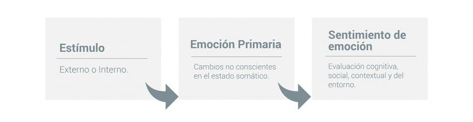 Infografia Emociones Sentimientos 2 0