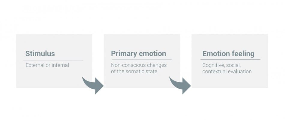 Infografia Emociones Sentimientos En
