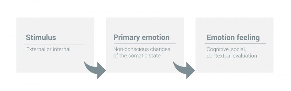Infografia Emociones Sentimientos En 0