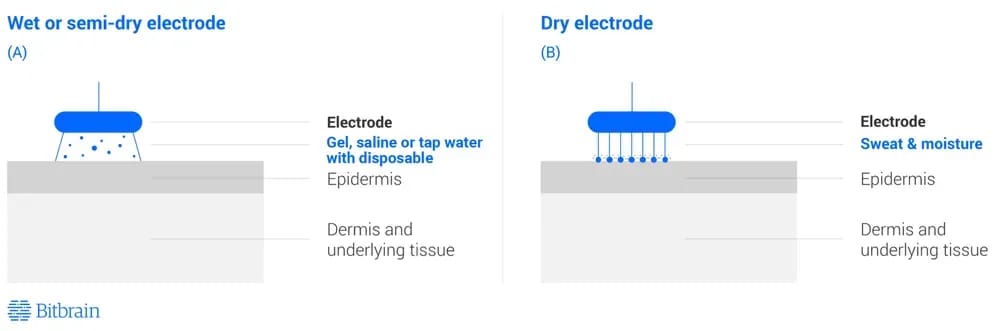 Wet Eeg Cap Vs Dry Eeg Electrodes 11zon